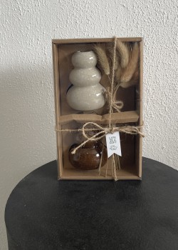 Giftset vaasjes met pluimen