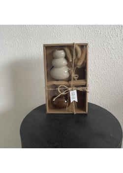 Giftset vaasjes met pluimen