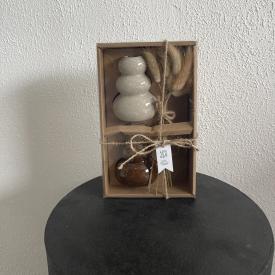 Giftset vaasjes met pluimen