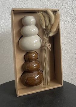 Giftset vaasjes met pluimen