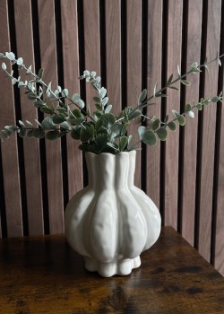 Vaas Garlic