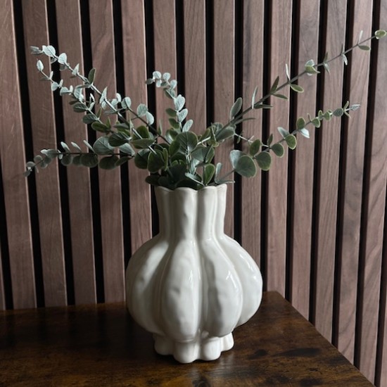 Vaas Garlic